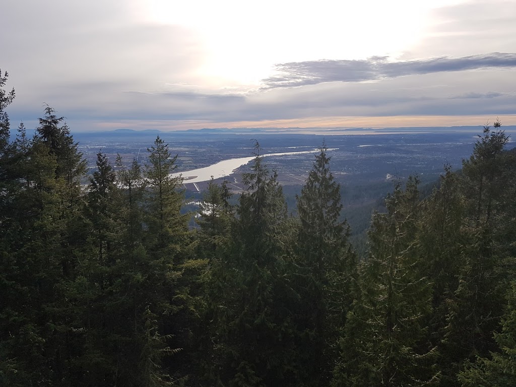 Munro Lake Trail | Munro, Lake Trail, Coquitlam, BC V3E 3H1, Canada