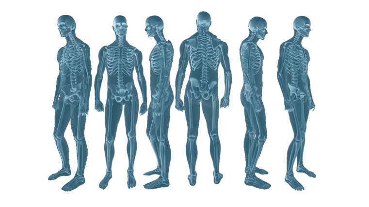 Gam X-Ray Ltd | 1235 Trafalgar Rd, Oakville, ON L6H 3P1, Canada | Phone: (905) 845-0014