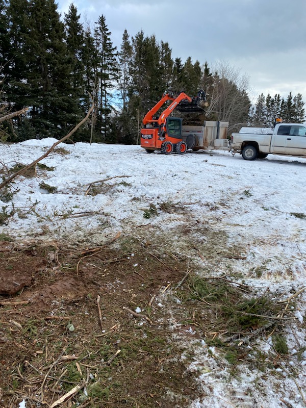C&T Lawn Care | 7 Ash Ln, York, PE C0A 1P0, Canada | Phone: (902) 940-9335