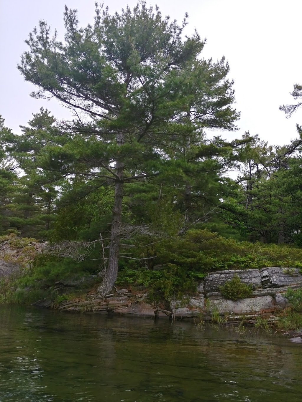 Martyn Island | Carling, ON P0G, Canada | Phone: (207) 747-9149