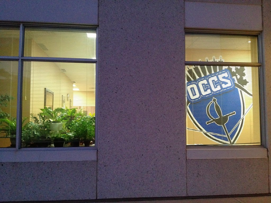Ontario Centre for Classical Sport | 3750b Laird Rd #14, Mississauga, ON L5L 0A6, Canada