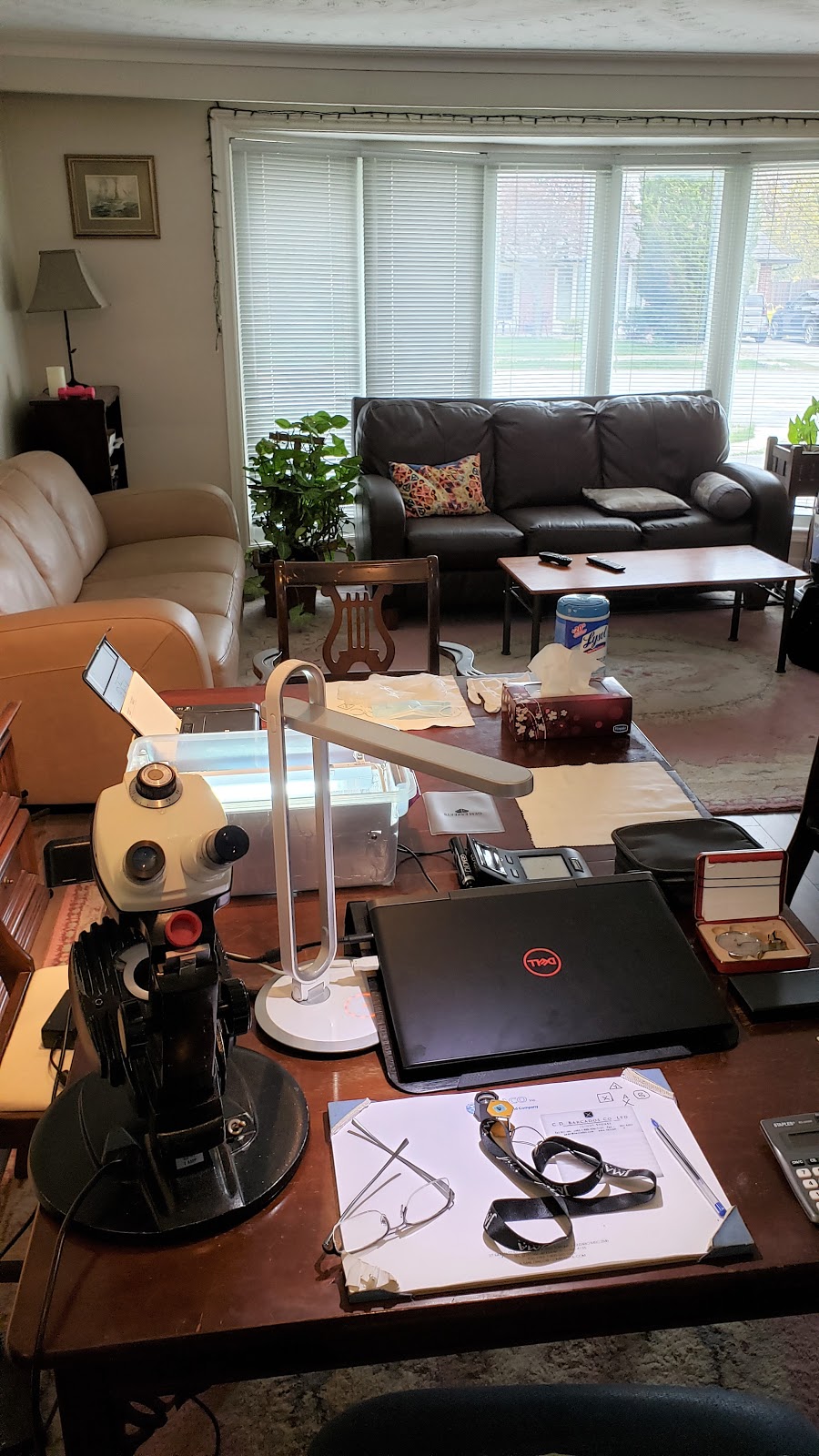 Gem Experts Inc | 7 Sewell Dr, Oakville, ON L6H 1C3, Canada | Phone: (647) 328-2727