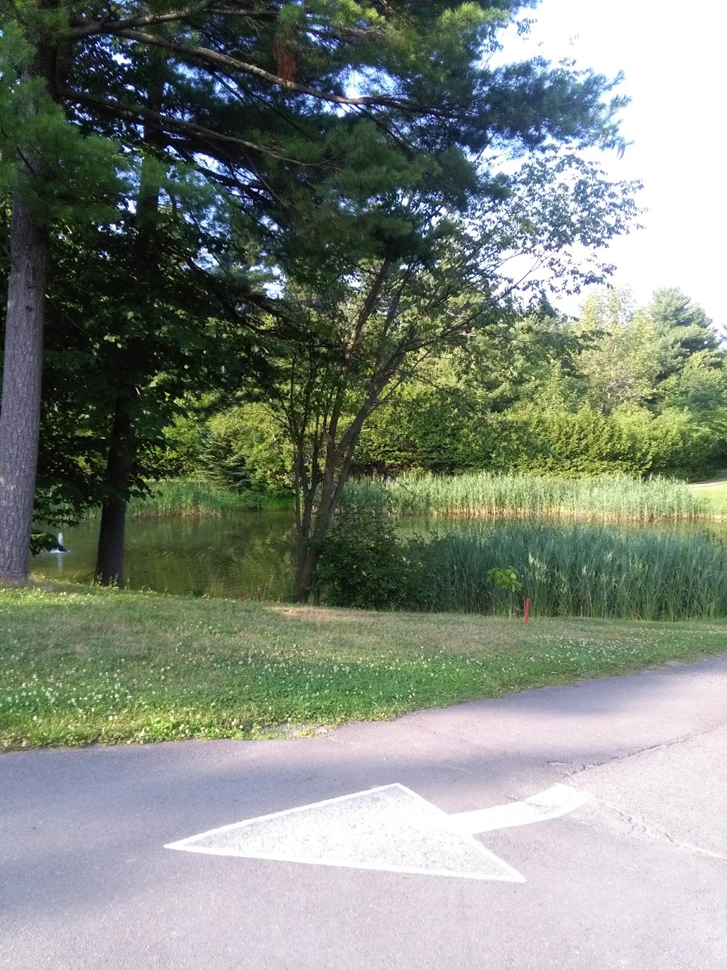 Camping St-Andre | 73 Rang Saint-André, Saint-Philippe, QC J0L 2K0, Canada | Phone: (450) 659-3451