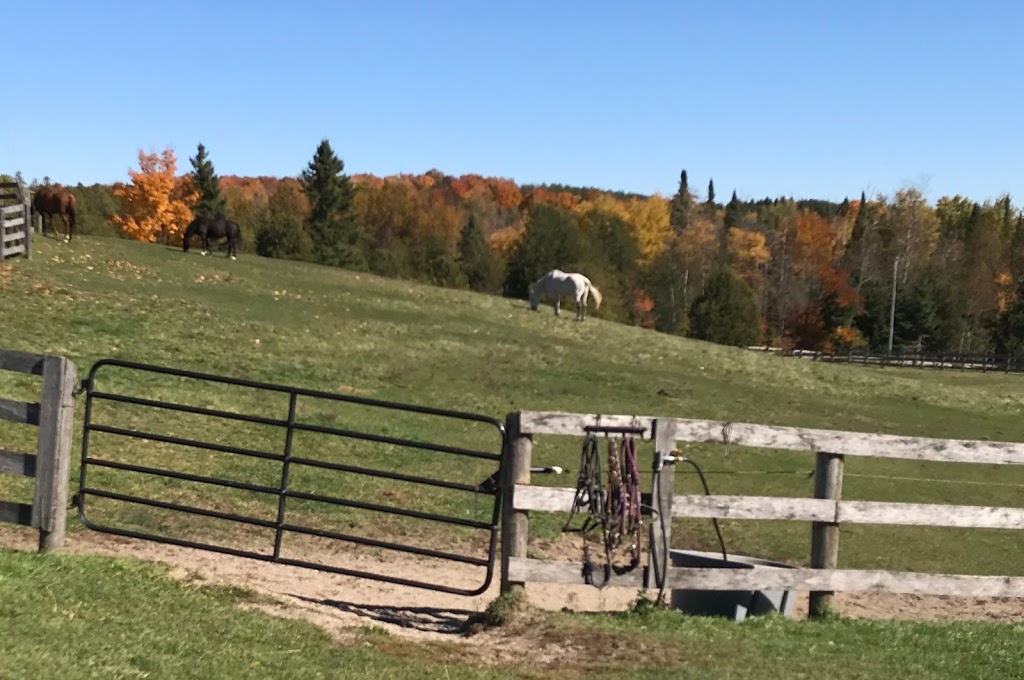 Weybread Hill Farm | 111150 11th Line East, Erin, ON L8W 7A4, Canada | Phone: (519) 830-7220