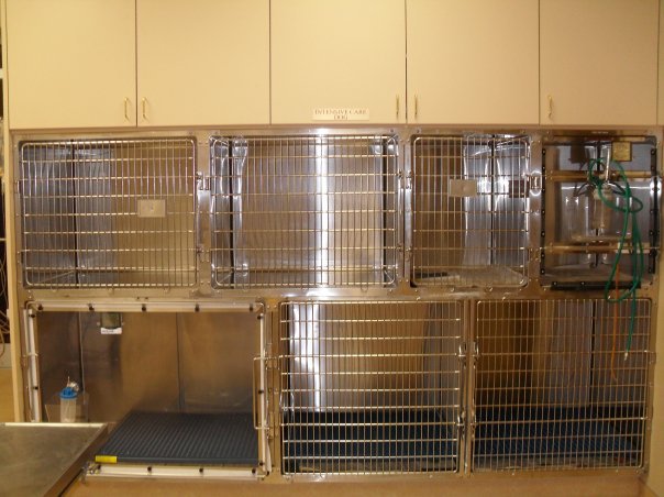 Elmwood Small Animal Hospital | 1606 Kenmore Ave, Buffalo, NY 14216, USA | Phone: (716) 876-6023