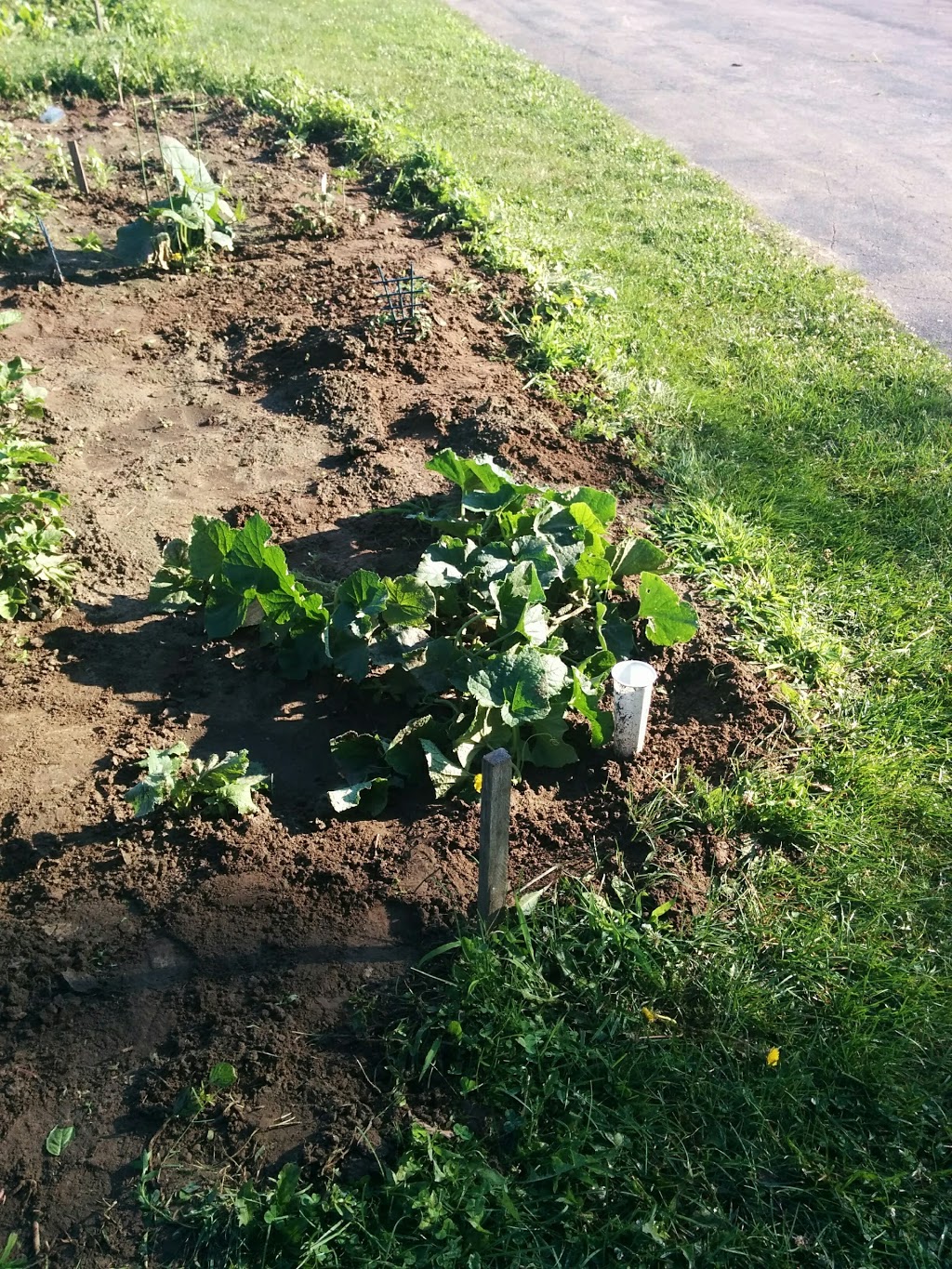 Grantham Avenue Park | 447 Grantham Ave, St. Catharines, ON L2M 3J2, Canada