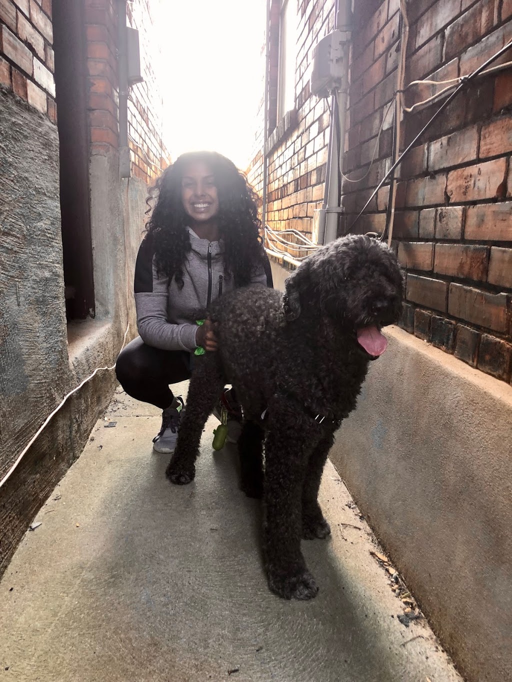 We Wag Toronto | 17 Love Crescent, Toronto, ON M4E 1V6, Canada | Phone: (647) 901-7367