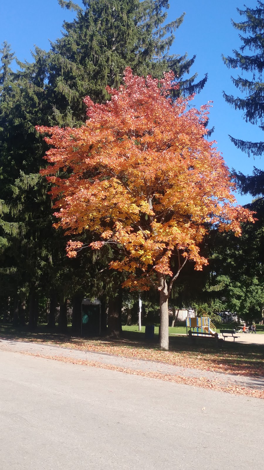Lions Park, Township of Wellington North | 495 Queen St W, Mount Forest, ON N0G 2L1, Canada | Phone: (519) 323-9622
