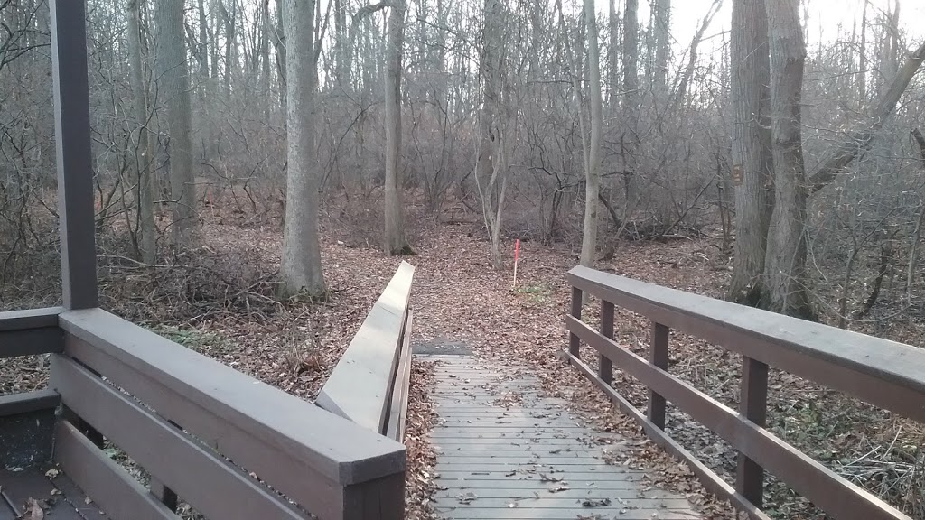 Spicer Creek Wildlife Preserve | 3071-3219 E River Rd, Grand Island, NY 14072, USA