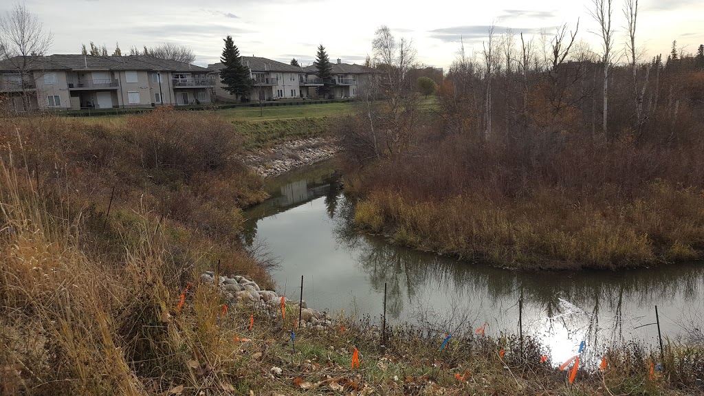 Blackburn Creek Park | 507 107 St SW, Edmonton, AB T6W 1A2, Canada