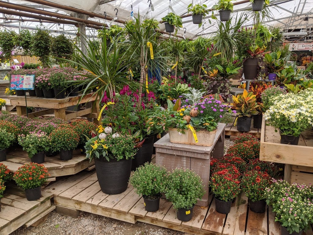 Colasantis | 1550 Road 3 E, Kingsville, ON N9Y 2E5, Canada | Phone: (519) 326-3287
