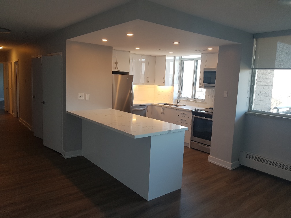 Pronto Kitchens | 511 Edgeley Blvd, Concord, ON L4K 4G4, Canada | Phone: (647) 695-8568