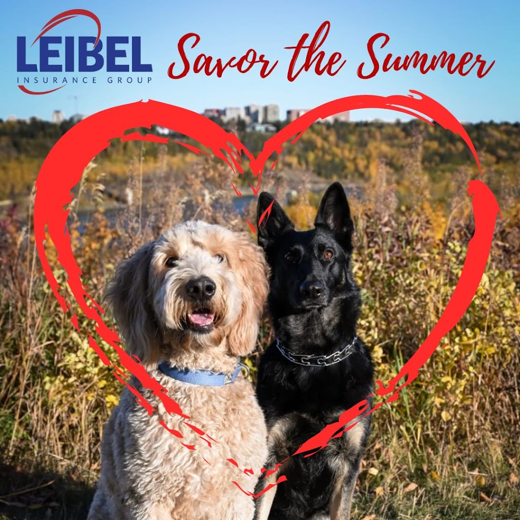 Leibel Insurance Group | 4915 54 St #14, Red Deer, AB T4N 2G7, Canada | Phone: (866) 484-8880