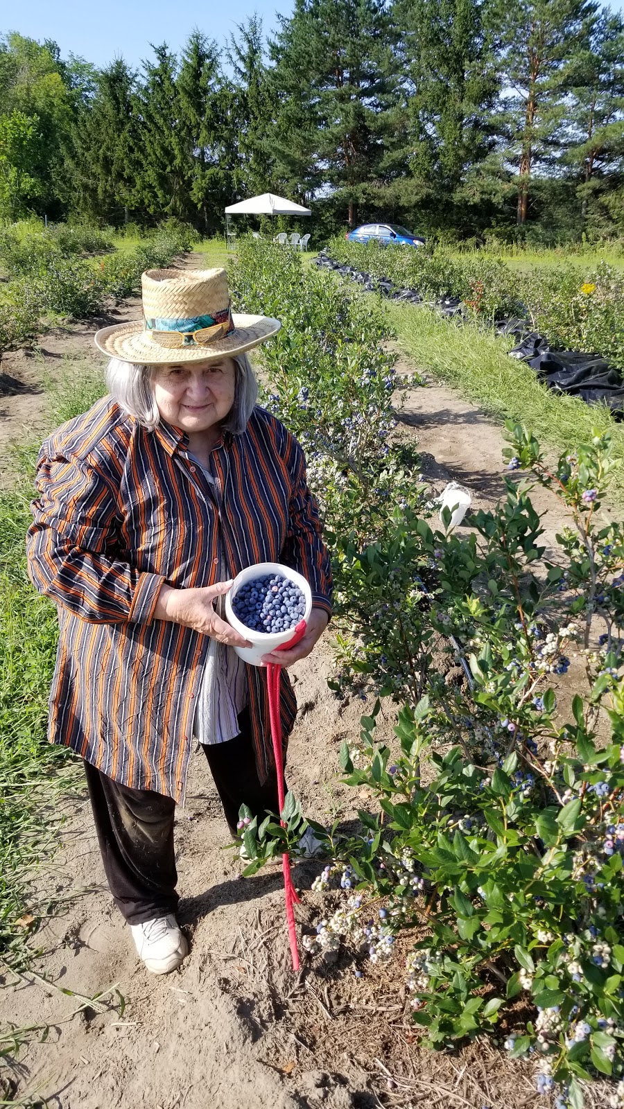 Les jardins de Mascouche | 1412 Chem. de la Côte Georges, Mascouche, QC J7K 3C2, Canada | Phone: (438) 880-9575