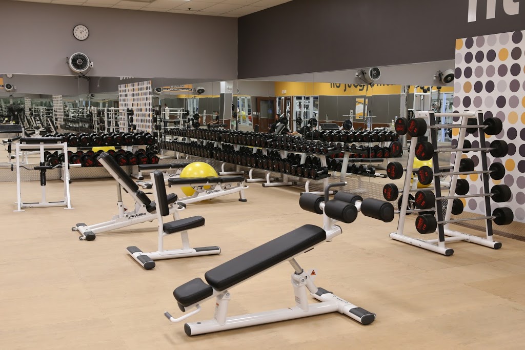 Fit4Less | 417 Wellington St Unit 32, St Thomas, ON N5R 5J5, Canada | Phone: (519) 631-1501