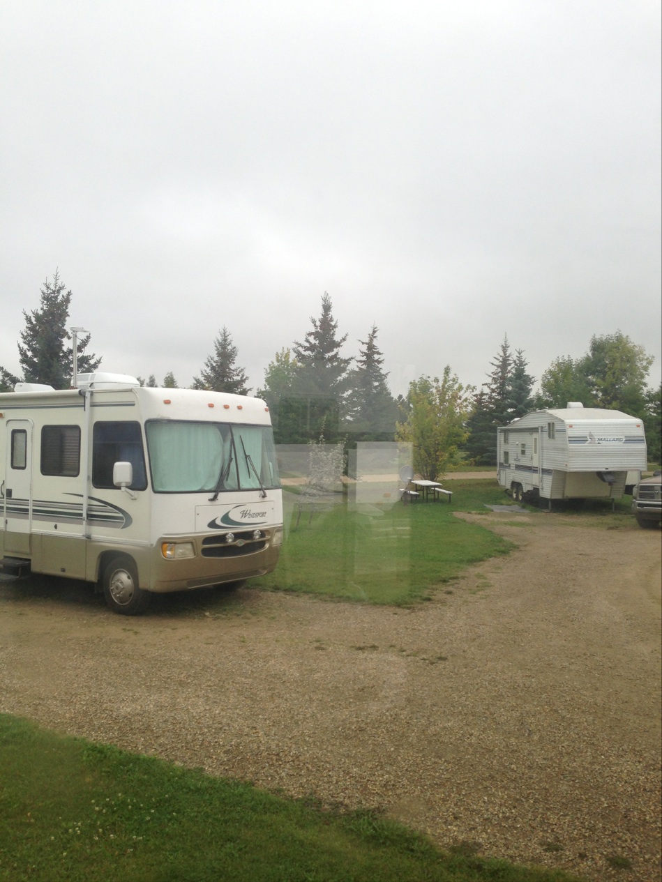 The Nesting Place | 40 Ave, Rimbey, AB T0C 2J0, Canada | Phone: (403) 704-6997
