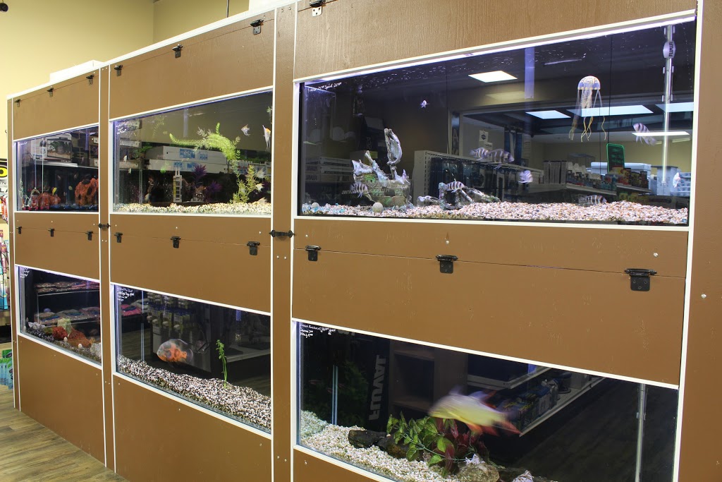 Animalerie Animazoo | 520 Boulevard Frontenac O, Thetford Mines, QC G6G 5V9, Canada | Phone: (418) 335-7645