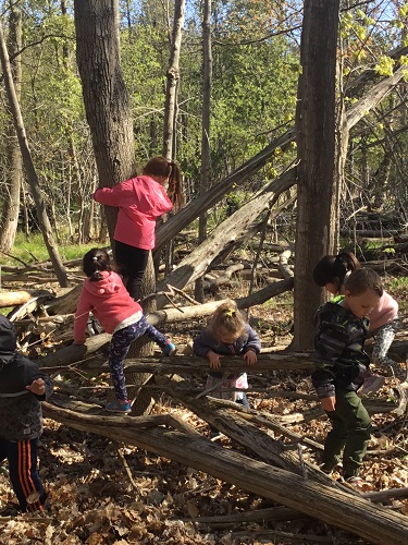 RisingOaks Early Learning | Saint John Paul II | 75 Pebblecreek Dr, Kitchener, ON N2A 0E3, Canada | Phone: (519) 894-0563