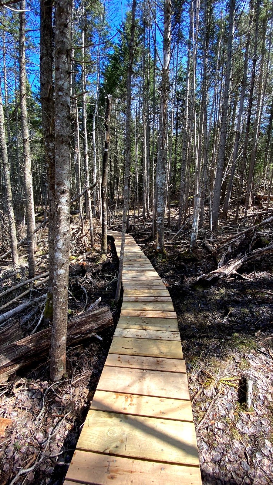 Winter River Hiking Trail | E Suffolk Extension, Prince Edward Island C1C 0A7, Canada | Phone: (902) 894-7535