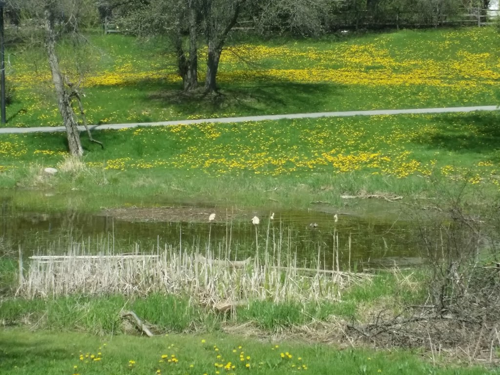 Beaufort Trail | Richmond Hill, ON L4E 2P9, Canada
