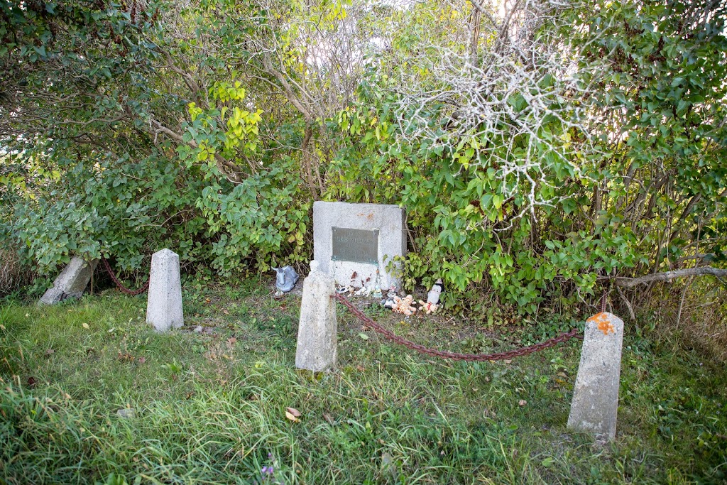 James Williamson Cemetery | 1640-1924, Kawartha Lakes County Rd 46, Woodville, ON K0M 2T0, Canada