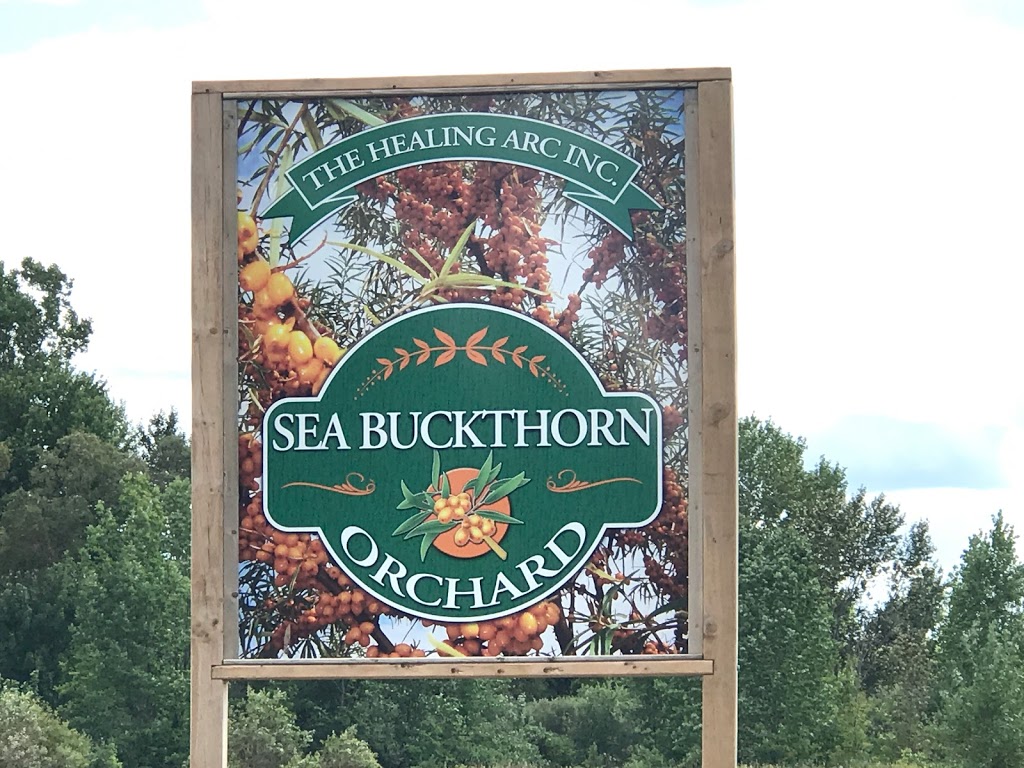The Healing Arc | 166 Sideroad 25 S, Teeswater, ON N0G 2S0, Canada | Phone: (519) 357-3383