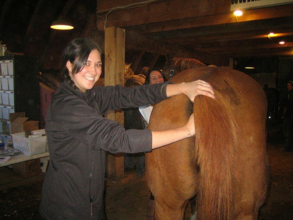 Equi-Health Canada | 75 Crystal Shores Rd, Okotoks, AB T1S 2H9, Canada | Phone: (403) 700-9152