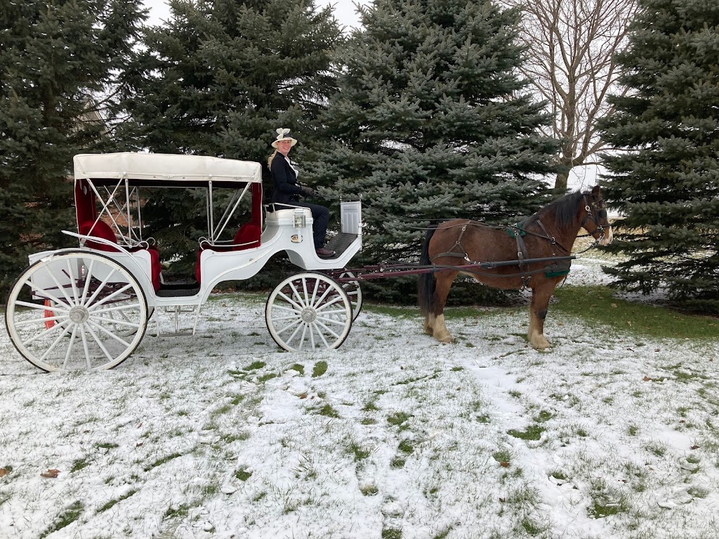 K.C.L Carriages | 86546 Laurier Line, Goderich, ON N7A 3X9, Canada | Phone: (519) 525-0127