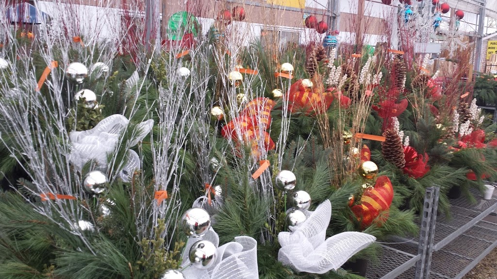 Islington Nurseries Ltd. | 1000 Islington Ave, Etobicoke, ON M8Z 4P8, Canada | Phone: (416) 503-3339