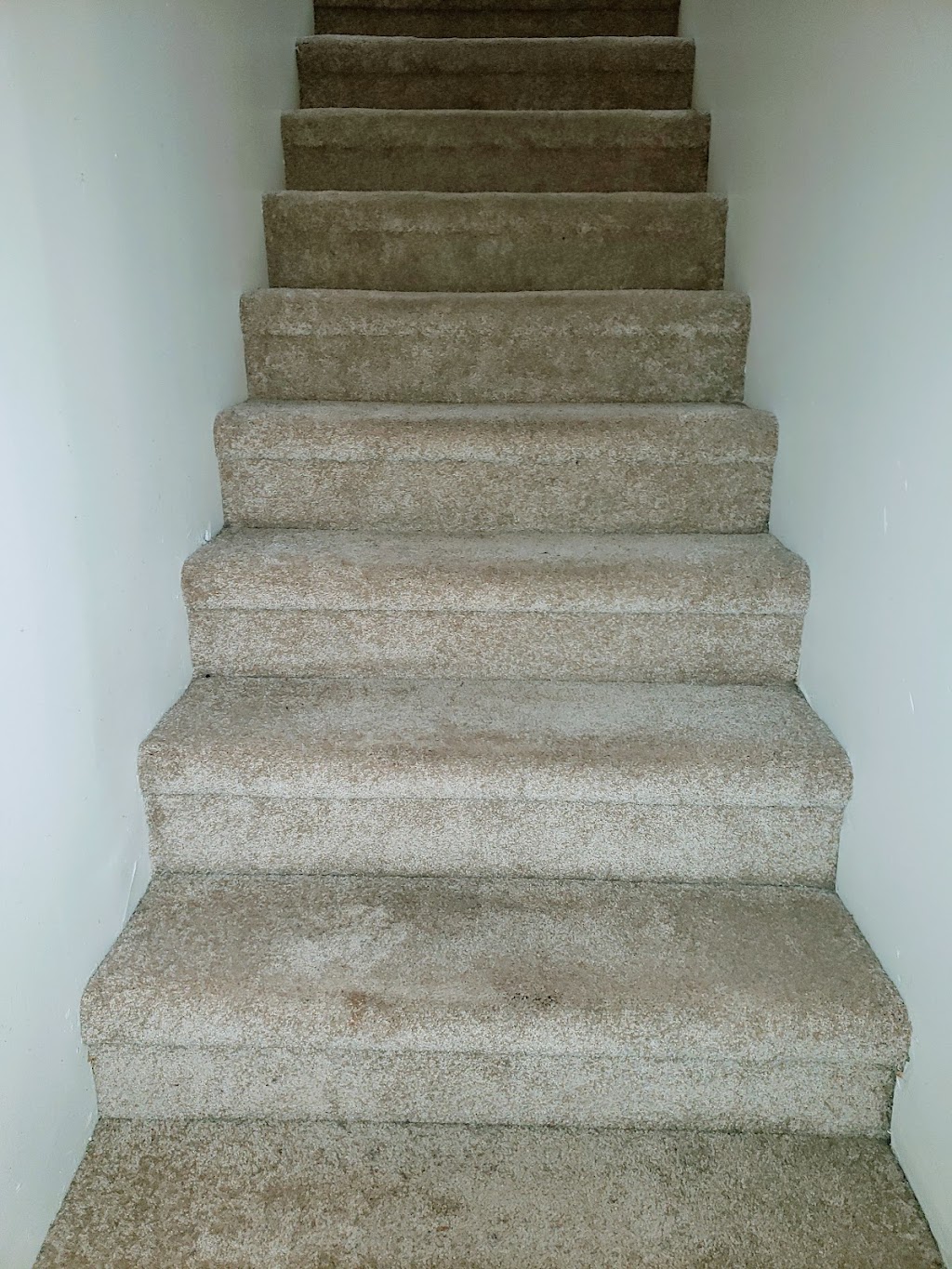 Kleenop Pro Cleaning Services | 52 Jackson Rd Suite A, Dartmouth, NS B3A 4A3, Canada | Phone: (902) 401-6113