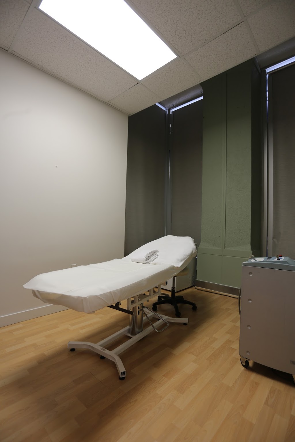 Dermis Advanced Skin Care Ottawa - Laser Hair Removal, Waxing, A | 116 Albert St #110, Ottawa, ON K1P 5G3, Canada | Phone: (613) 233-7546