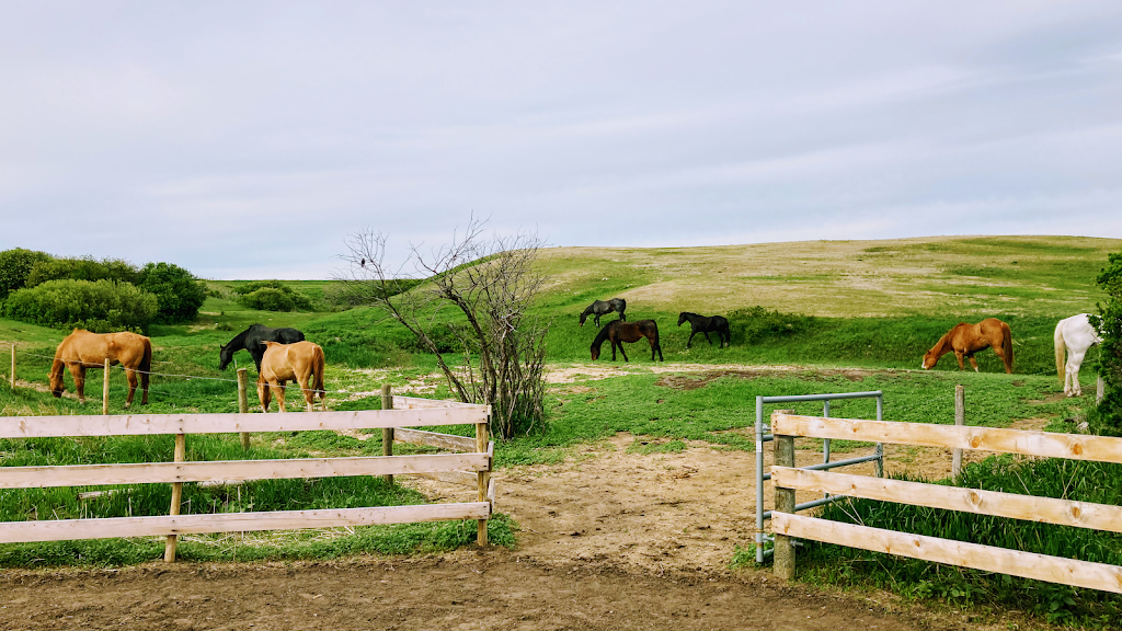 McIntyre Ranch | 866J+55 Abound, Saskatchewan, Abound, SK S6H 7K8, Canada | Phone: (306) 630-2885