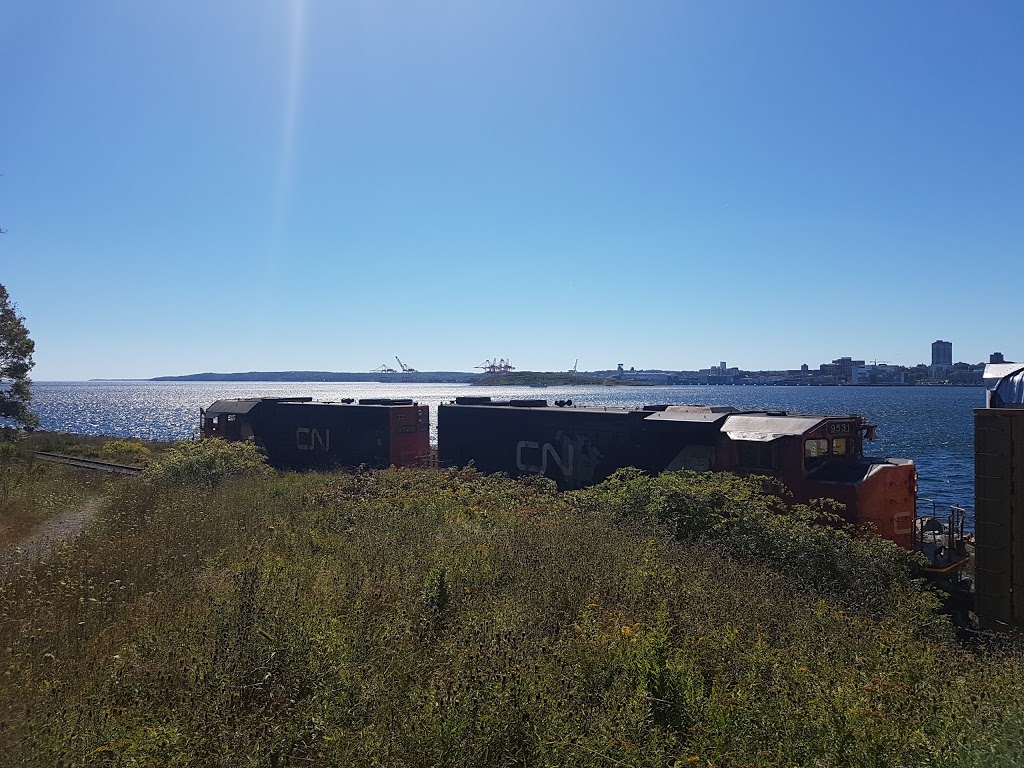 Woodside Area Regional Park | 16 Oceanview Dr, Dartmouth, NS B2Y 3S3, Canada