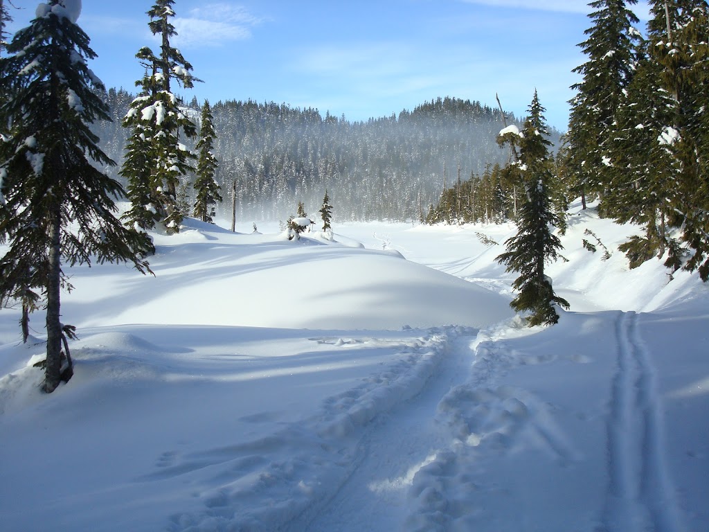 Mitchells Canoe, Kayak & SUP, Sales and Rentals | 8690 BC-101, Powell River, BC V8A 0H2, Canada | Phone: (604) 414-4607