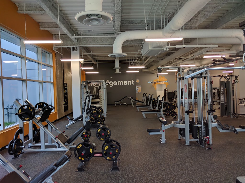 Fit4Less | 710 Proudfoot Ln, London, ON N6H 5G5, Canada | Phone: (519) 641-1397