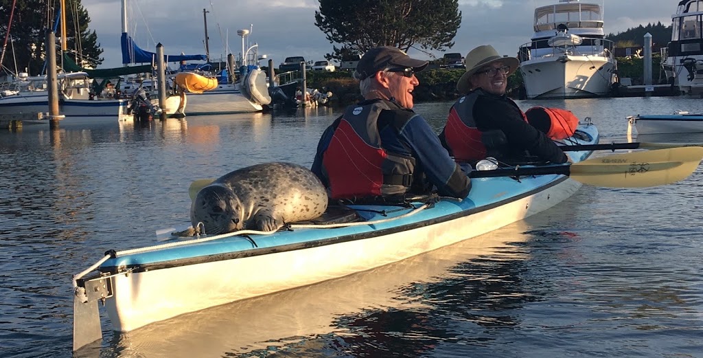 Anacortes Kayak Tours | 2009 Skyline Way, Anacortes, WA 98221, USA | Phone: (360) 588-1117
