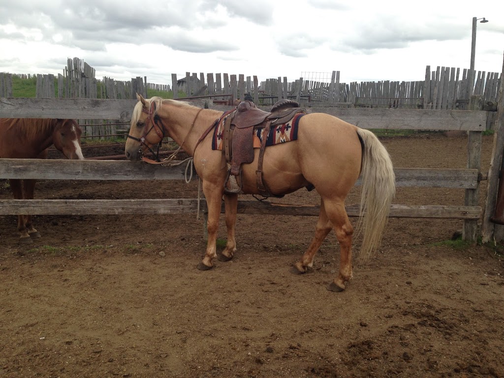 Slickfork Ranch | Touchwood No. 248, SK S0A 3G0, Canada | Phone: (306) 835-2277