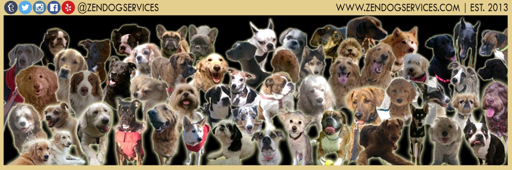 Zen Dog Services | 584 Church St, Toronto, ON M4Y 2E5, Canada | Phone: (416) 855-6636