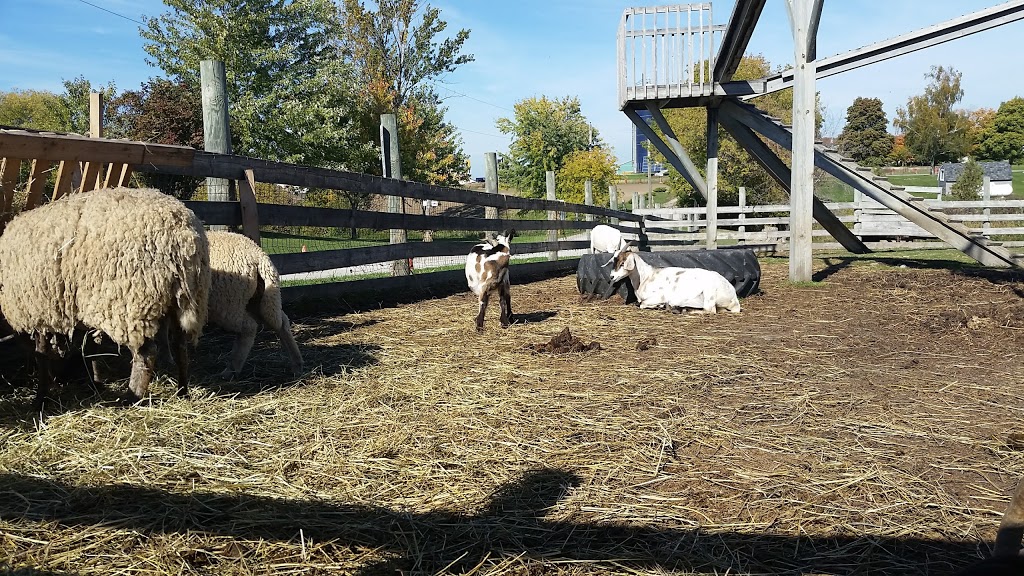 Valley Farm Market & Catering | 2457 County Rd 92 RR 2, Elmvale, ON L0L 1P0, Canada | Phone: (705) 322-2646