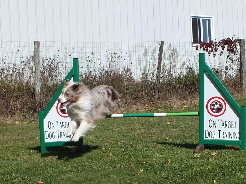 On Target Dog Training | 188 Burbridge Rd, Colborne, ON K0K 1S0, Canada | Phone: (905) 355-1707