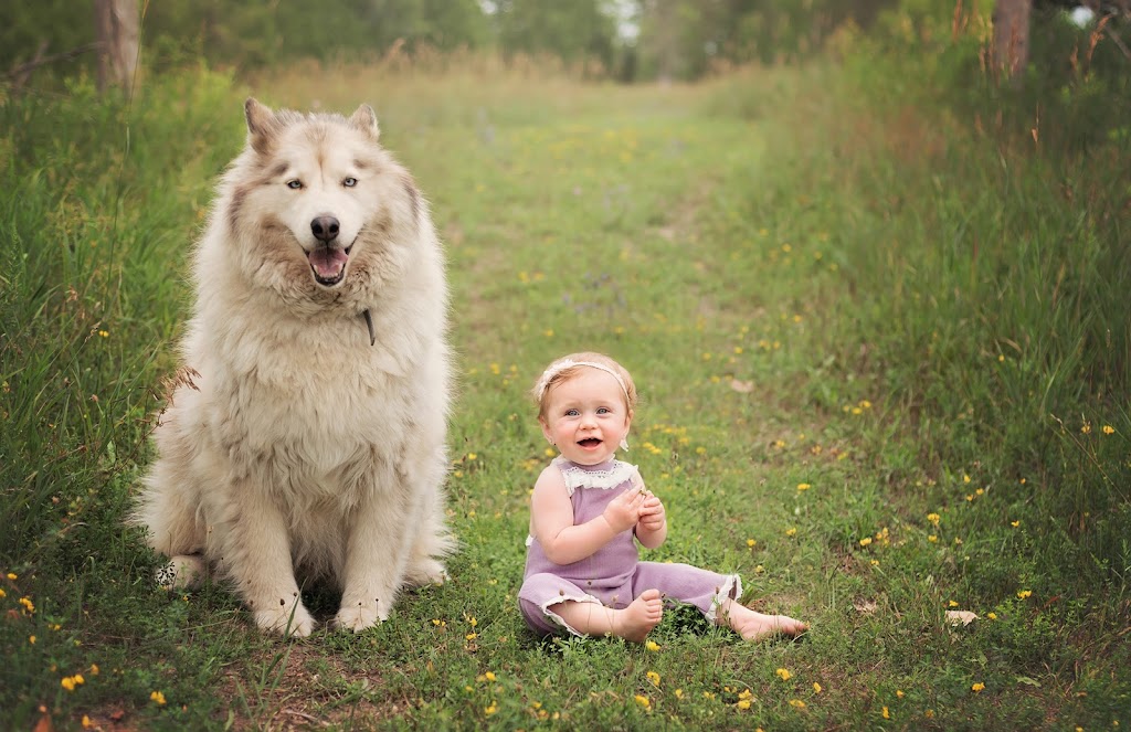 Elana Bebjak Photography | 113 Lynden Rd, Lynden, ON L0R 1T0, Canada | Phone: (289) 700-4500