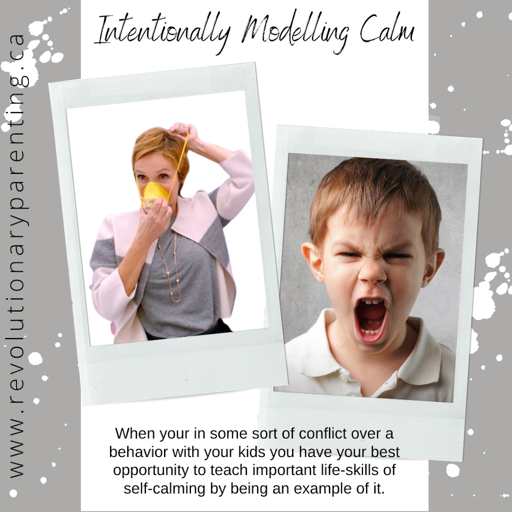 Revolutionary Parenting | 35 Shaw Cl, Red Deer, AB T4R 0L3, Canada | Phone: (403) 703-6323
