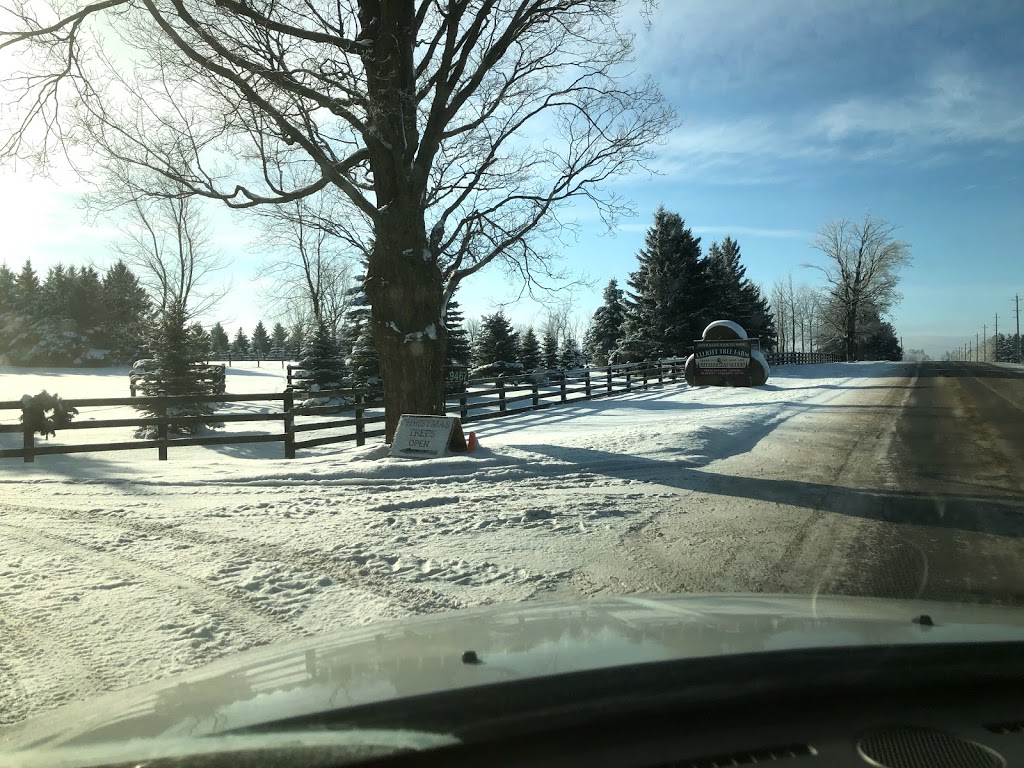 Elliott Tree Farm | 9467 Erin East Garafraxa Townline, Hillsburgh, ON N0B 1Z0, Canada | Phone: (519) 216-0699