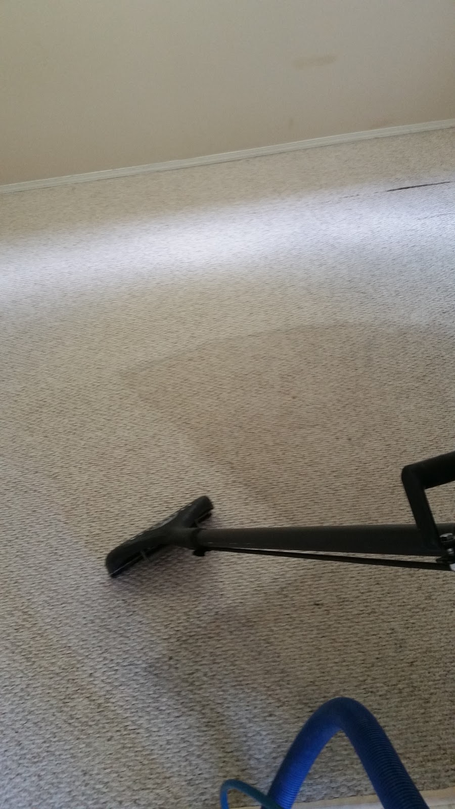 Lower Mainland Carpet Cleaning | 31483 Legacy Ct, Abbotsford, BC V2T 6W5, Canada | Phone: (604) 857-2727