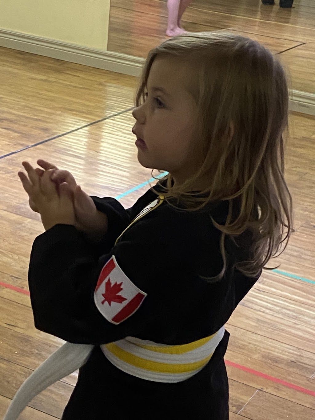Mac Tíre Bán Martial Arts | 281 Harvie Rd, Barrie, ON L4N 8J5, Canada | Phone: (705) 252-3749