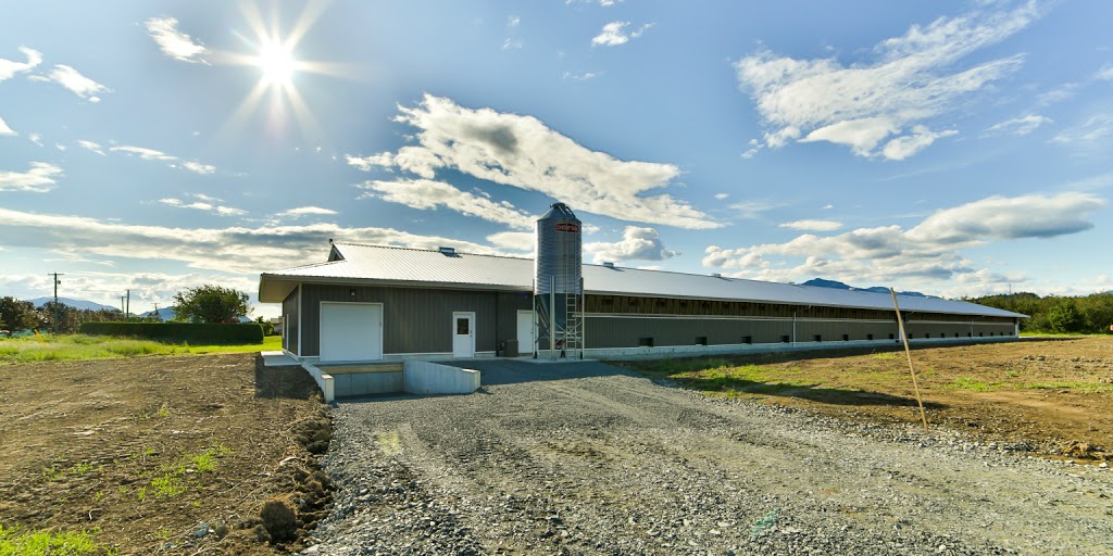 Twin Maple Construction Services Ltd | 32351 Huntingdon Rd, Abbotsford, BC V2T 5Y9, Canada | Phone: (604) 854-6790