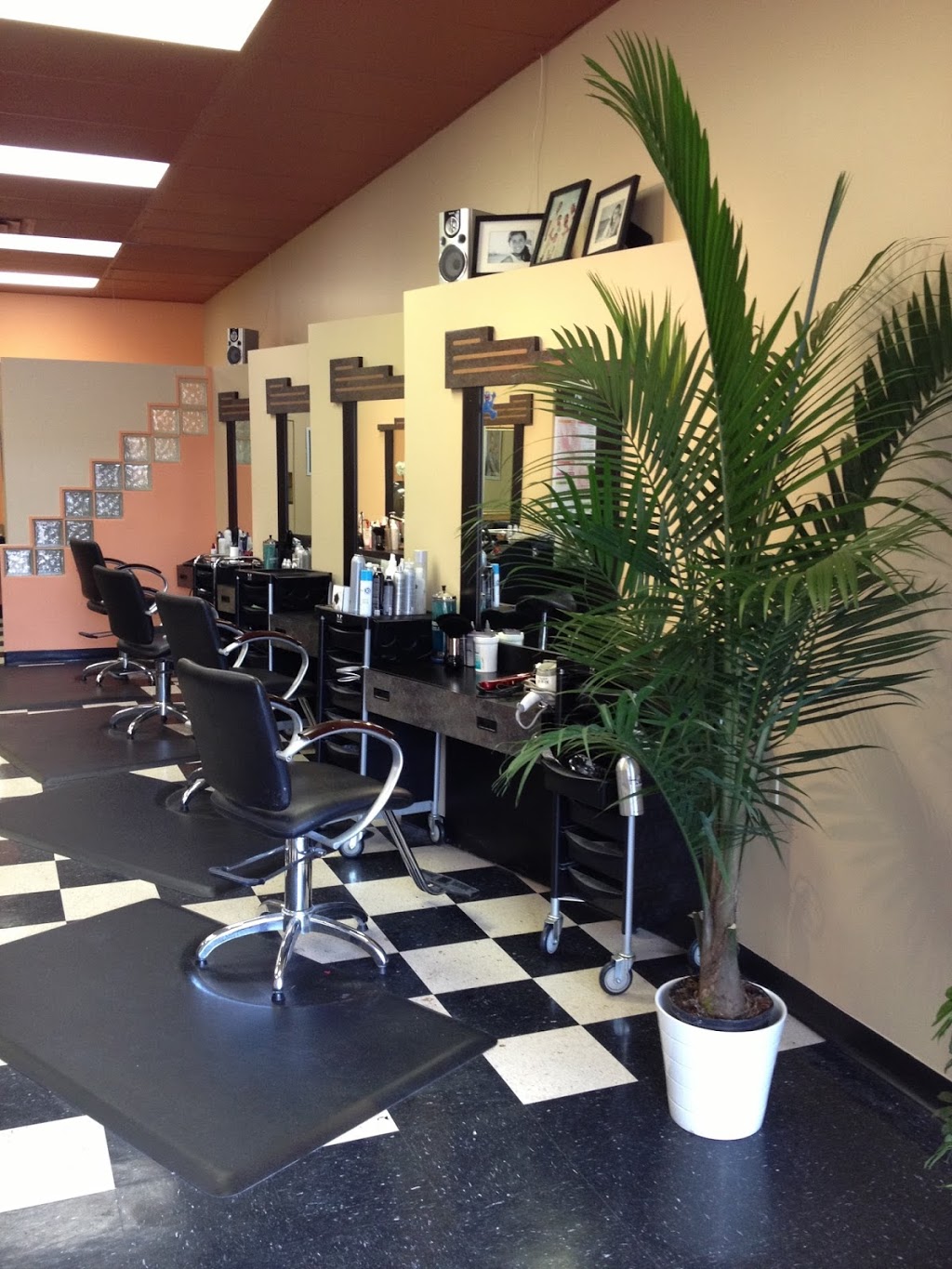 Platinum Hair Group | hair care | 9160 Macleod Trail SE, Calgary, AB T2J 0P5, Canada | 4032521790 OR +1 403-252-1790