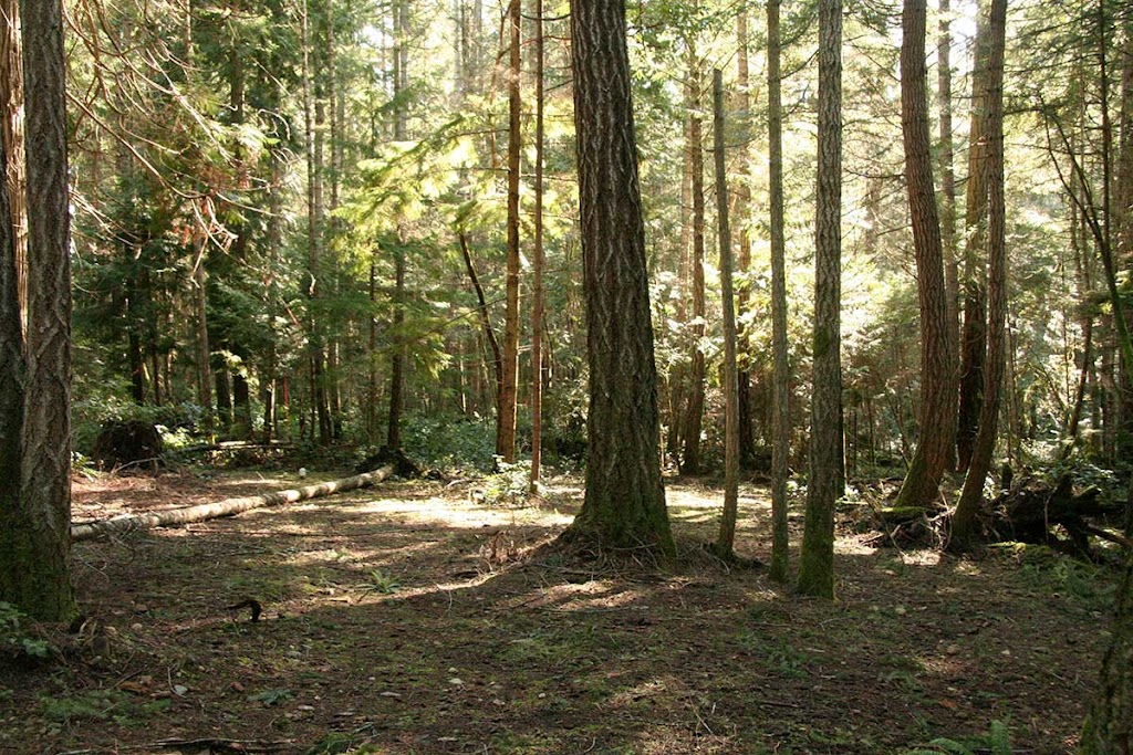 Steps to the Sea Guest House | 153 Arbutus Rd, Salt Spring Island, BC V8K 1A3, Canada | Phone: (604) 626-6646