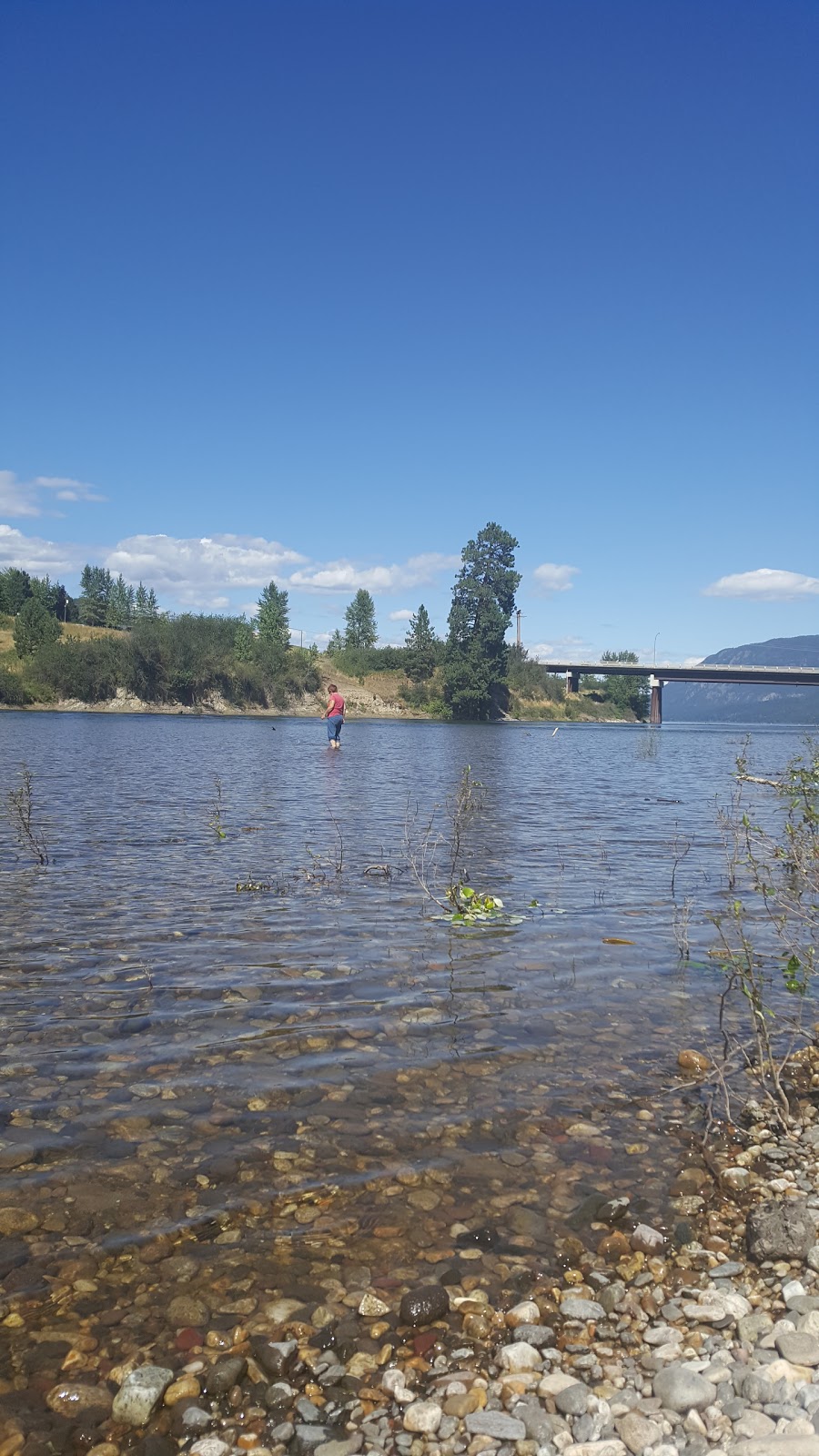 Adams Lake Indian Band | 6453 Hillcrest Rd, British Columbia V0E 1M0, Canada | Phone: (250) 679-8841