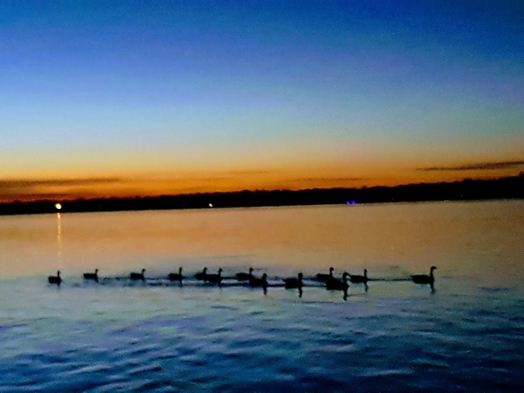 Niagara Parks Marina at Millers Creek | 2400 Niagara Pkwy, Fort Erie, ON L2A 5M4, Canada | Phone: (877) 642-7275